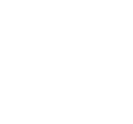 Experiencia digital acompañada y cercana